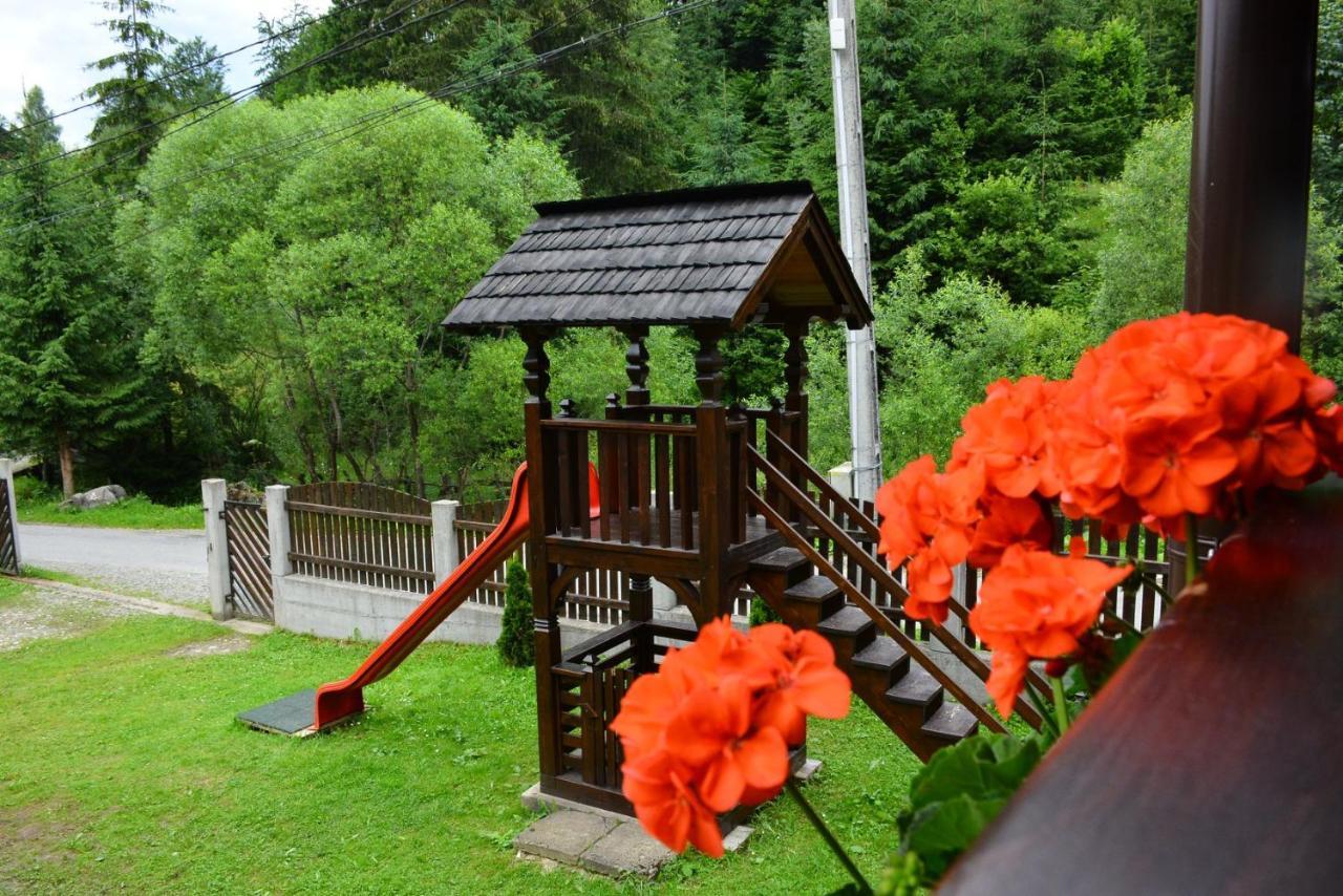 Cabana Cascada Cailor Hotel Borsa  Exterior photo