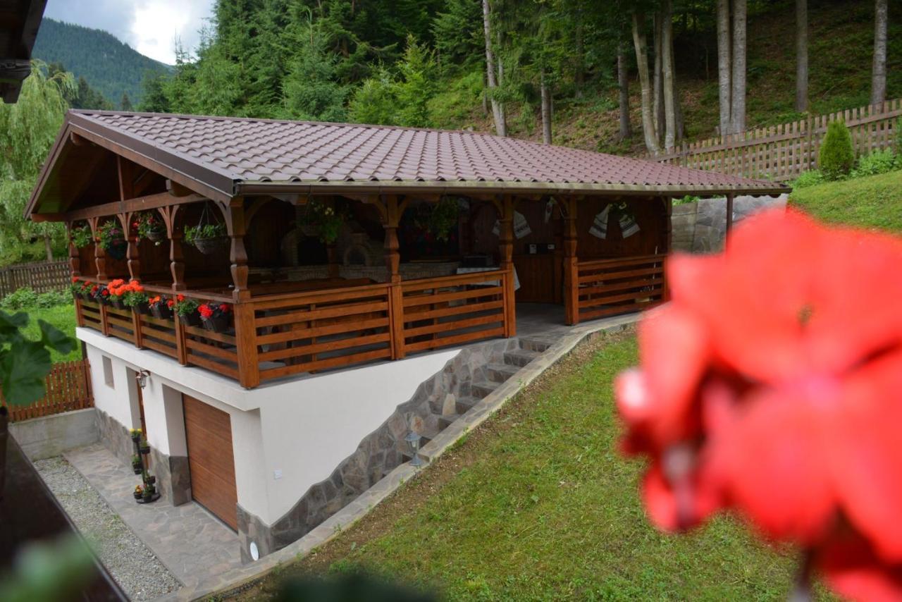 Cabana Cascada Cailor Hotel Borsa  Exterior photo