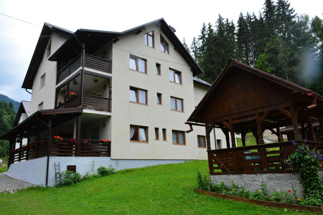 Cabana Cascada Cailor Hotel Borsa  Exterior photo
